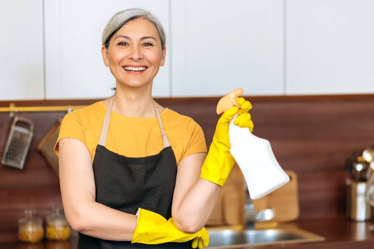 cleaning service cleaner woman maid with apron and sprayer