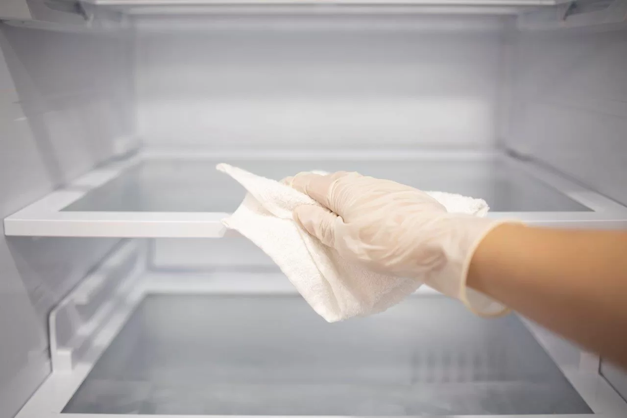 maid or cleaning service clean up empty fridge with napkin