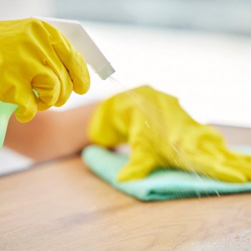 Cleaning spray and hands of woman with table